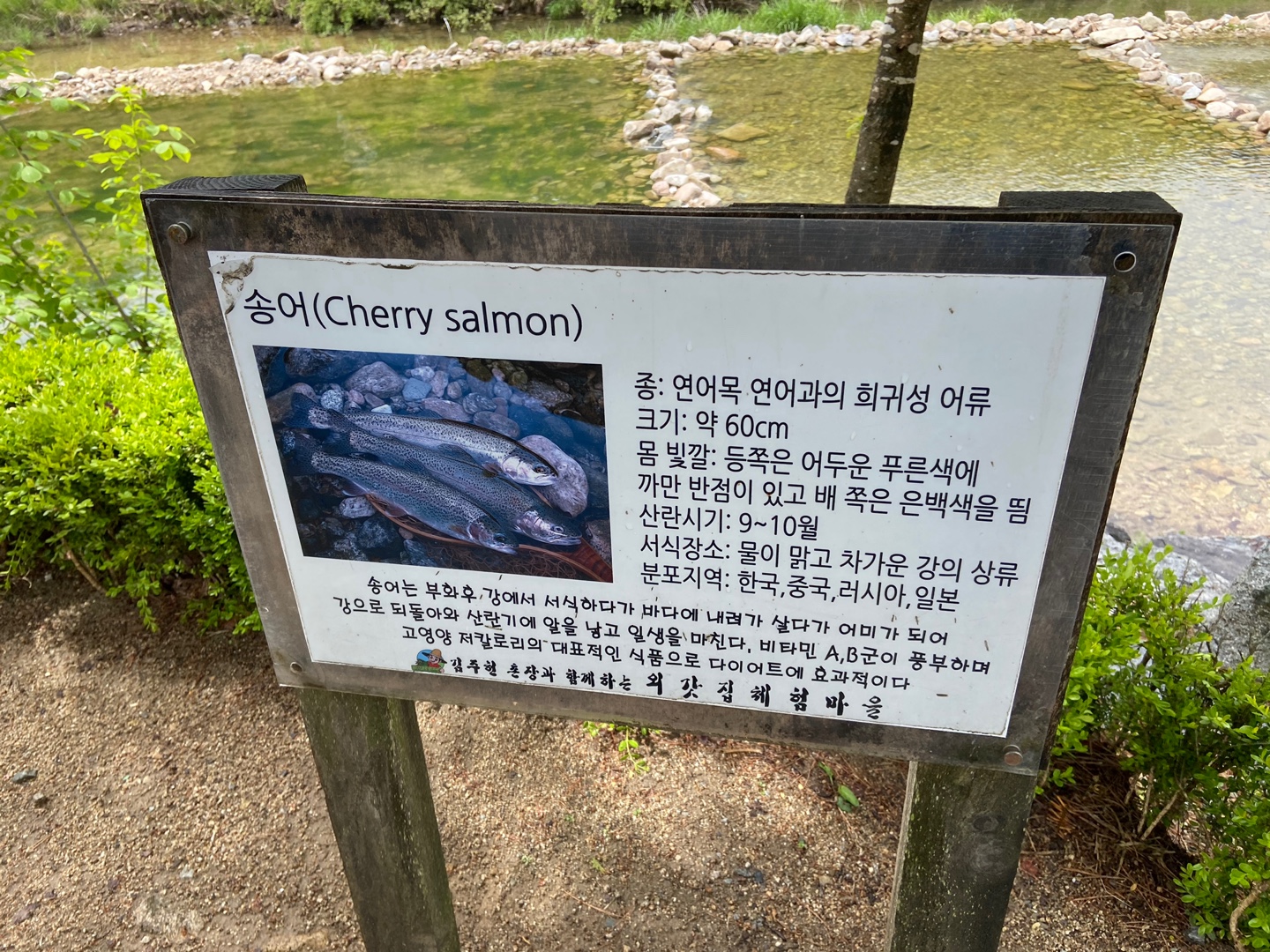 KakaoTalk_20210507_172731443_21.jpg