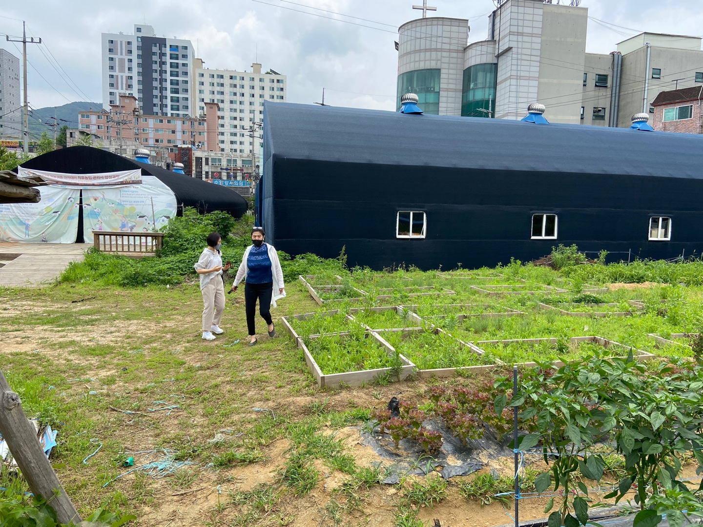 더그린 (9).jpg