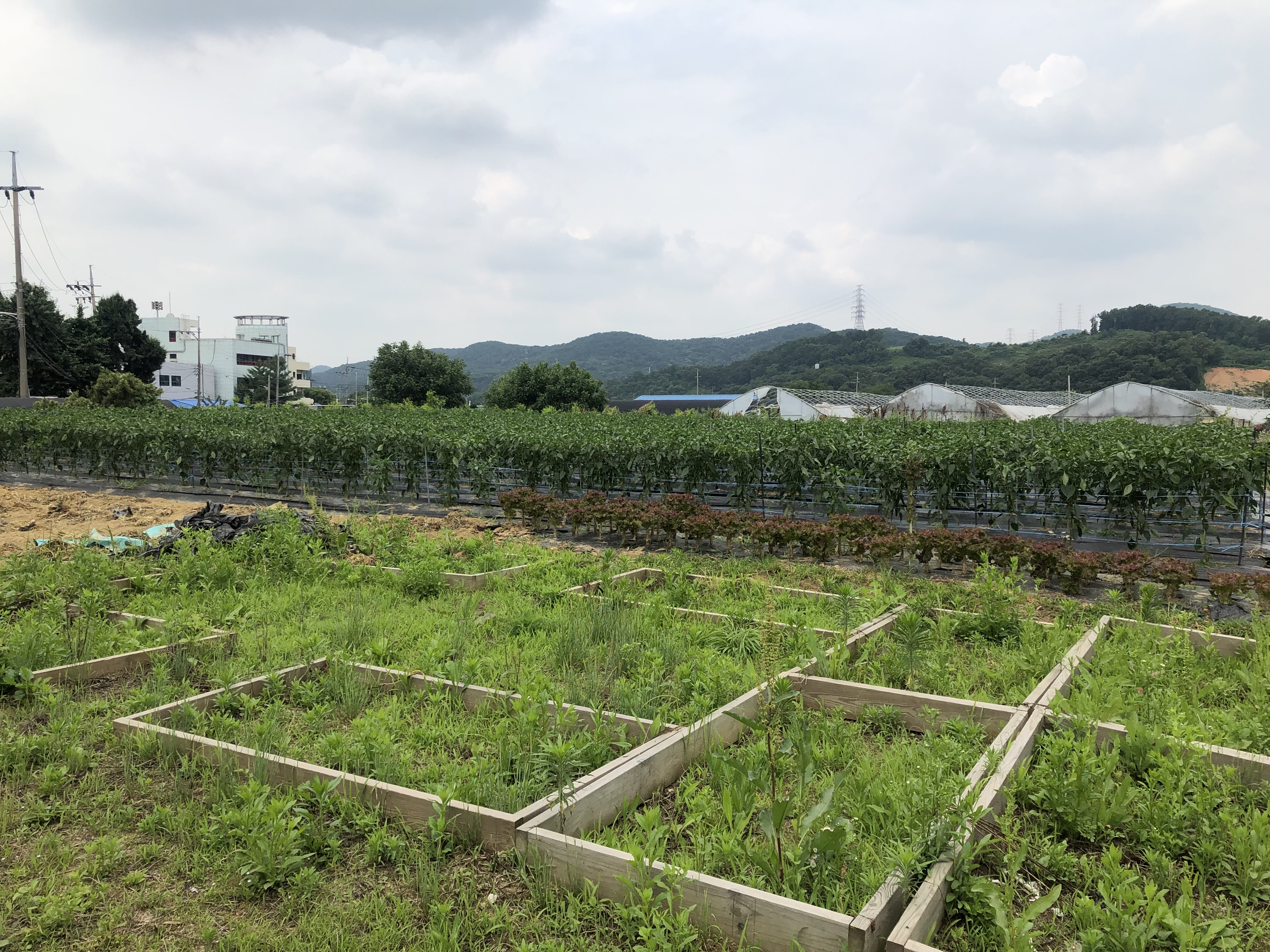 더그린 (21).jpg