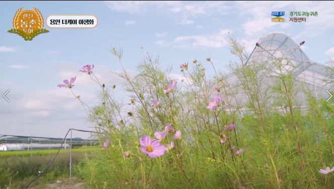 더케이1.JPG