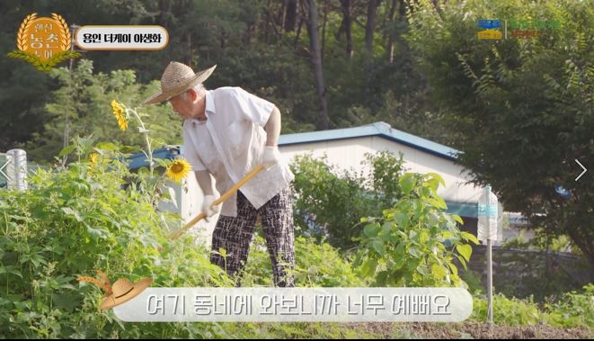 더케이2.JPG