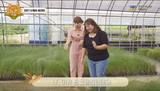더케이4.JPG