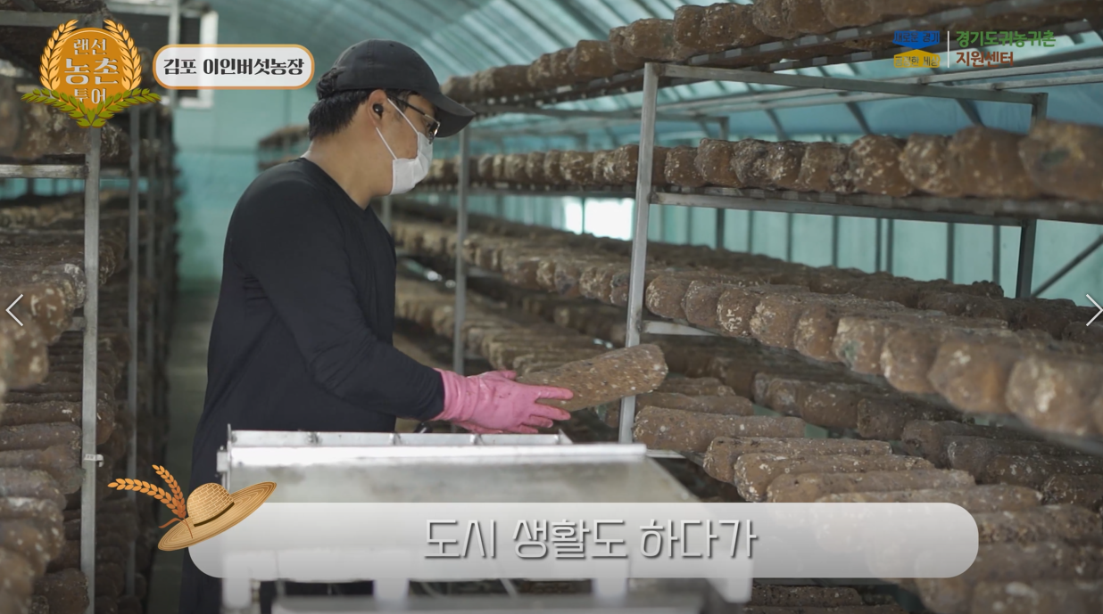 버섯3.png
