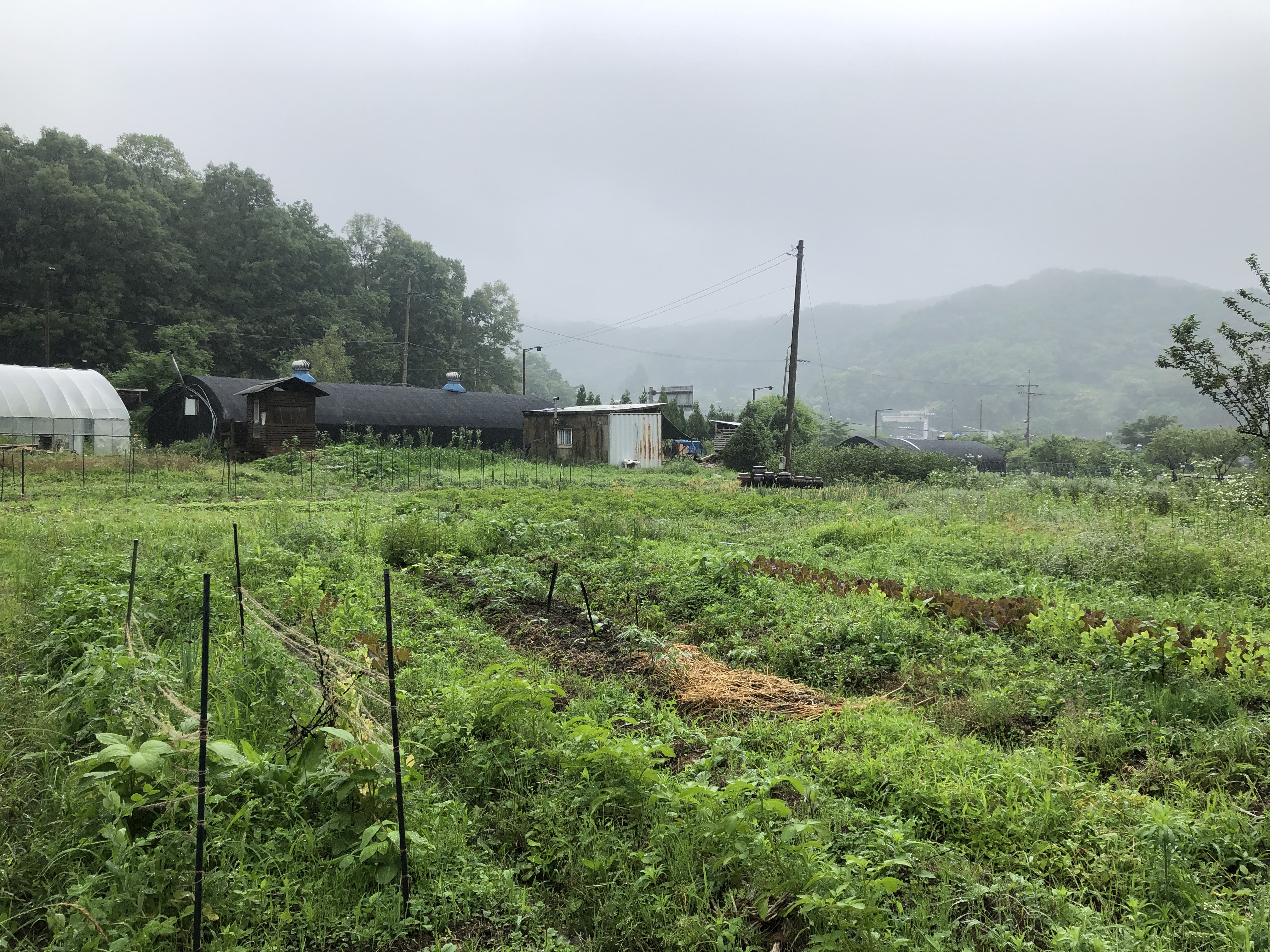 전국귀농운동본부 (13).jpg