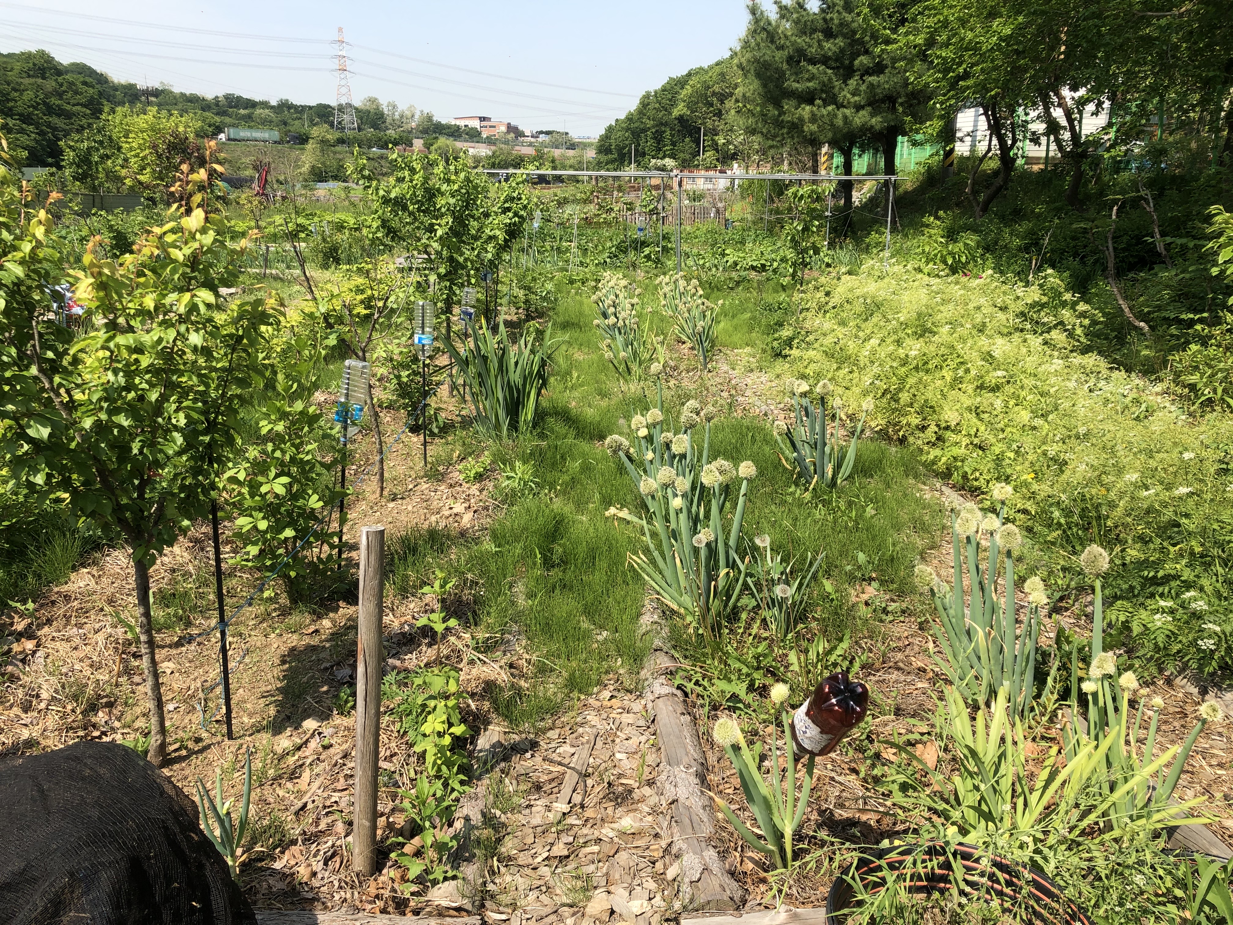 전통농업연구소 (15).jpg