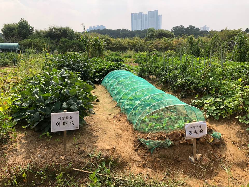 농협대 하반기 운영점검 (9).jpg
