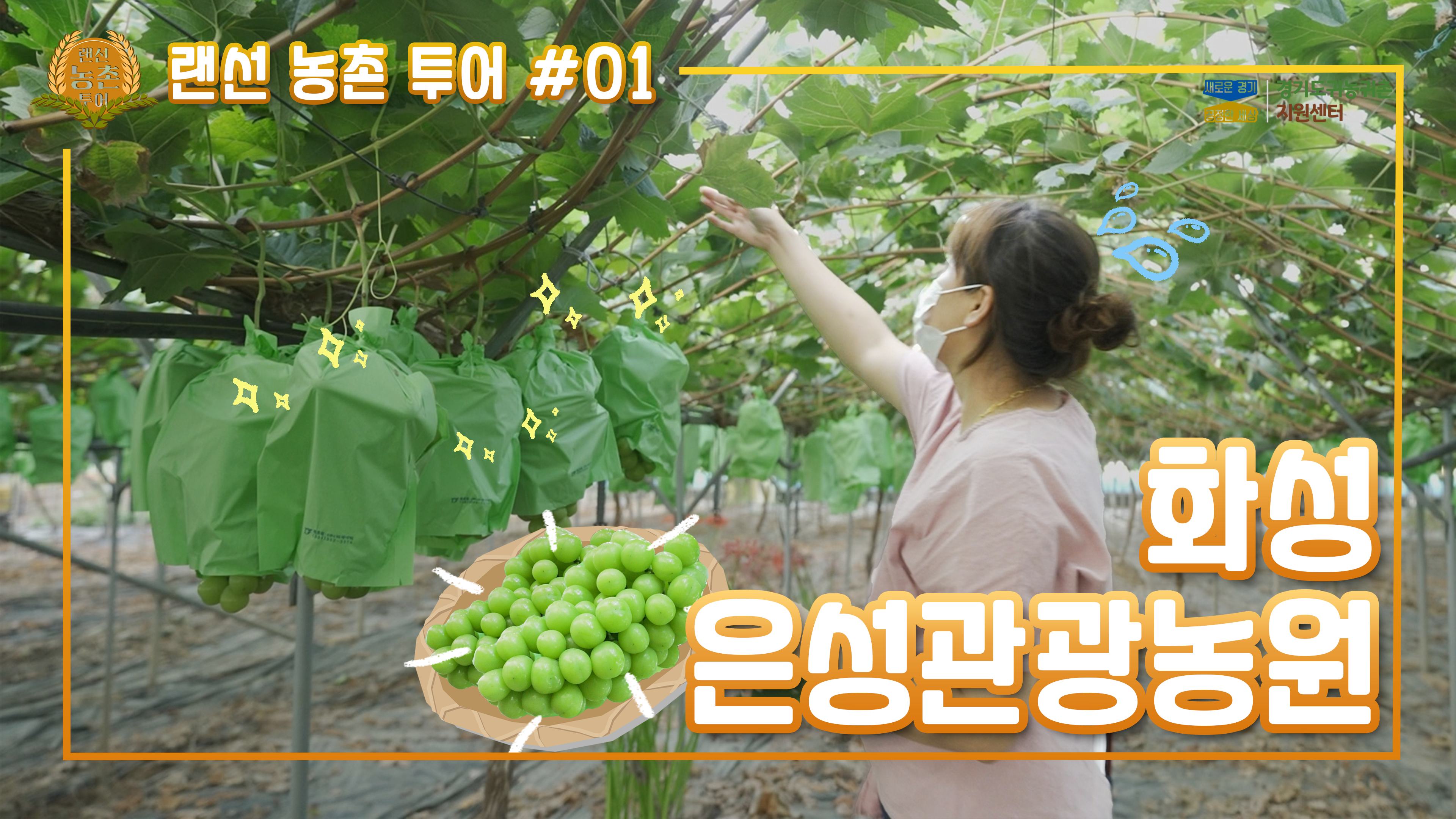 랜선농촌투어_썸네일_화성은성관광농원_포도.png