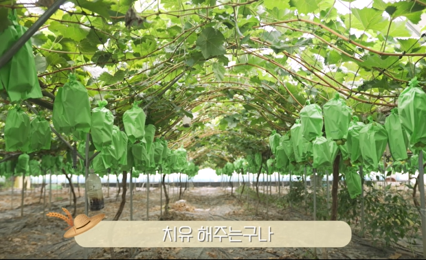 01 은성 1.PNG