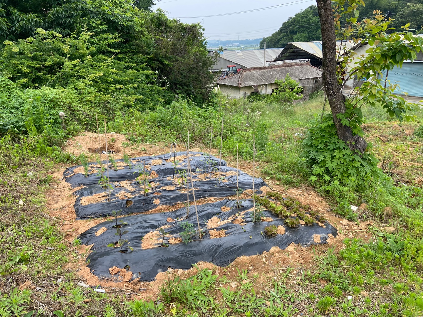 KakaoTalk_20210608_174206590_01.jpg